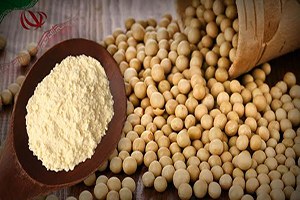 İran`dan Soya Unu Talebi