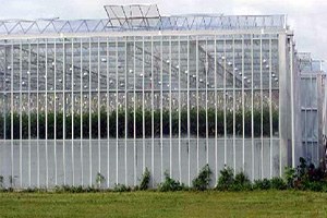 Üniversitelilerden Seralara Uzaktan Takip Sistemi