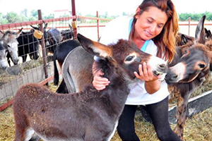 İnternetten Eşek Sütü Satılır Mı? Demeyin