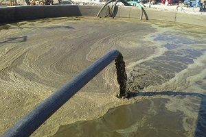 Hayvan Atıklarından Biyogaz Üretilecek