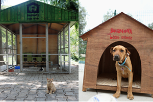 Bornova`da Sokaktaki Dostlar İçin Örnek Projeler