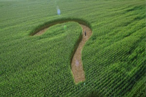 Tarımda Vizyon Meselesi ve İthalat Çıkmazı