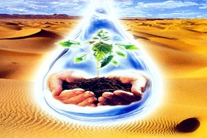 Tarımsal Nitrat Kirliliğine Karşı Önlem