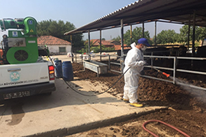 Manisa Afrika Hastalığına Savaş Açtı