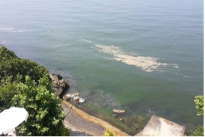 Denizdeki Köpüklenmenin Nedeni Açıklandı