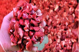 Bosna Hersek`ten Sığır Eti İthalatı