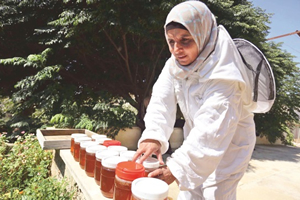 Filistinli Kadınlar Arıcılığı Keşfetti