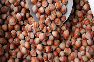 Fındık Fiyatları Ne Olacak?