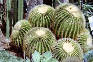 Doğru Bildiğimiz Yanlış Çıktı