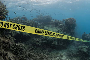 Rengârenk Mercan Resifi Ağardı: Exxon Biliyordu