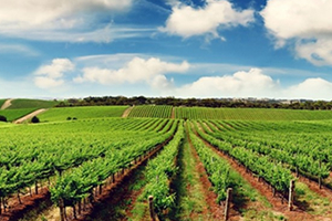 Tarım Danışmanı İstihdamına Destek