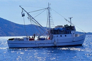 Avcılığı Bırakana Destek!