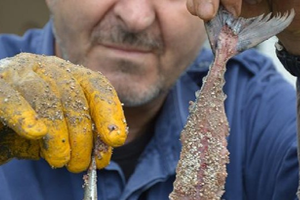 Evsel Atıkları Toprağa Dönüştürüyor