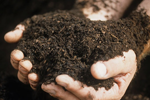 Kimyasal Gübrenin Yerini Organomineral Gübre Alır mı?