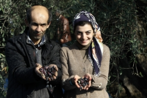 Dünya Zeytin Günü`ne Prim Damgası