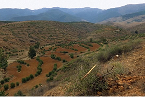 Yeni Kırsal Kalkınma Girişimi Fark Yarattı