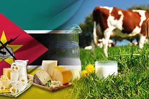 Mozambik`te Sütler Türk Malı Tesislerde İşlenecek