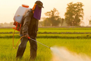 Pestisit Kalıntı Limitlerine Düzenleme