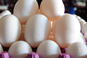 Kümes Hayvancılığı Üretim İstatistikleri Açıklandı