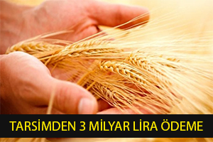 TARSİM`den 3 Milyar Lira Hasar Ödemesi