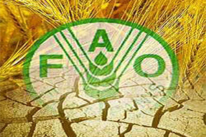 FAO`dan İyi Haber
