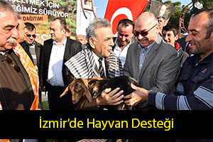İzmir`de 6 Bin Hayvan Desteği