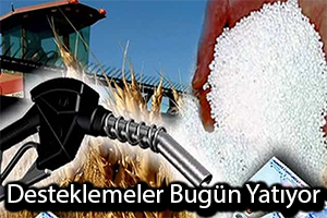 Destekleme Ödemeleri Bugün Hesaplara Yatıyor
