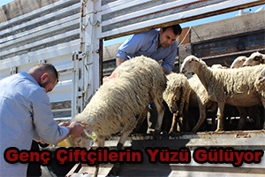 Hibe Desteği Genç Çiftçilerin Yüzünü Güldürdü