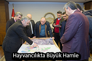 Kayseri`ye Hayvancılıkta Büyük Proje