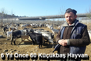 Her Şey 6 Yıl Önce 60 Küçükbaş Hayvan İle Başladı
