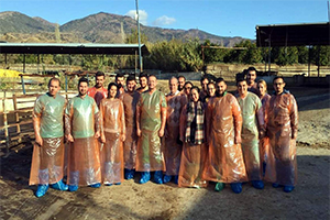 Suni Tohumlama Eğitiminde Türkiyenin Merkezi