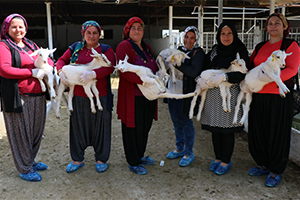 Kadınlara Uygulamalı Çobanlık Eğitimi Verildi