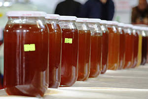 Malatya, `En İyi Bal`ı Seçti