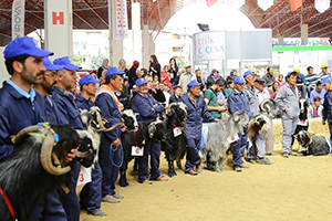 3. Teke Yöresi Tarım ve Hayvancılık Fuarı`na Büyük İlgi