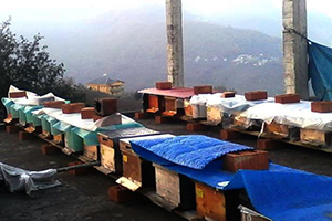 Arı Yetiştiricilerine Ayı Uyarısı