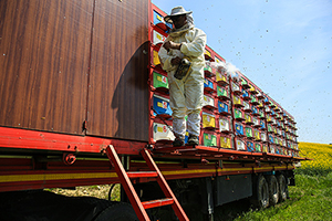 Tırda Doğal Bal Üretiyor