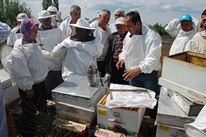 Bayramiç`te Ana Arı Üretim Kursu