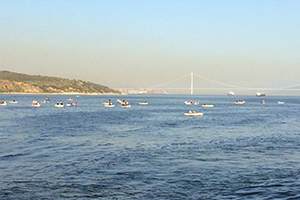 Körfez` de Balık Çeşitliliği Artacak