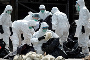 Üreticilere `Kuş Gribi` Uyarısı