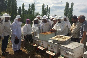 Uygulamalı Ana Arı Yetiştiriciliği` Kursu İle Üretici Bilgilendirildi