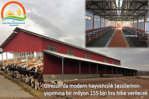Modern Hayvancılık Tesislerinin Yapımına Bir Milyon 155 Bin Lira Hibe Verilecek