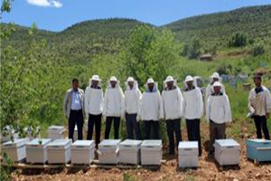 Afrikalı Arıcılar Arıcılığın Püf Noktalarını Ordu`da Öğreniyor