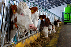 TKDK İle Hayat Bulan Yatırımlar