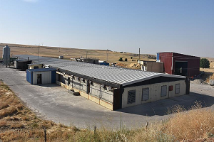 Diyarbakırlı Girişimci Hibe Desteğiyle Kurduğu Çiftlikte 60 Kişinin Patronu Oldu