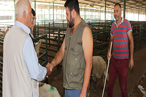 Ne Satıcı Memnun Ne De Alıcı!