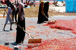 45 Derecede Saatlerce!..