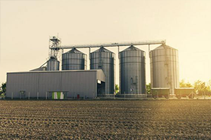 Tahıl Bakliyat İşleme Teknolojilerinde Kopyalama Dönemi Sona Erdi