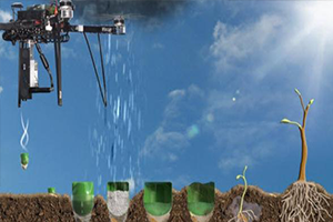 Drone`lar Artık Ağaç Bile Ekiyor!