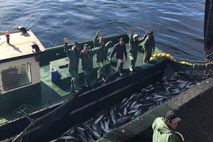 Türk Balıkçılardan Moritanya Çıkarması!