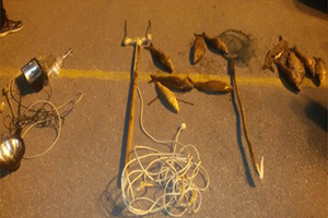 Elektroşok Yöntemiyle Balık Avına Para Cezası